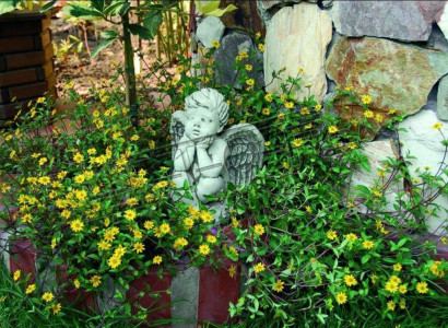Gravestone Gravestone Decoration Angel Figure Sculpture God Holy